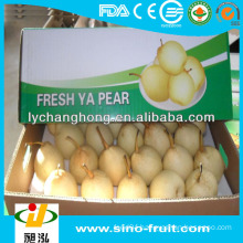 Fresh Pear from China